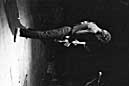 the Stranglers